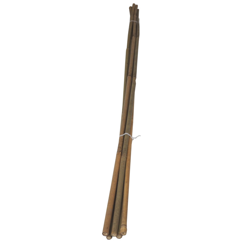 TOPTRADE tyč bambusová, O 10 - 12 mm x 105 cm, súprava 5 ks 3