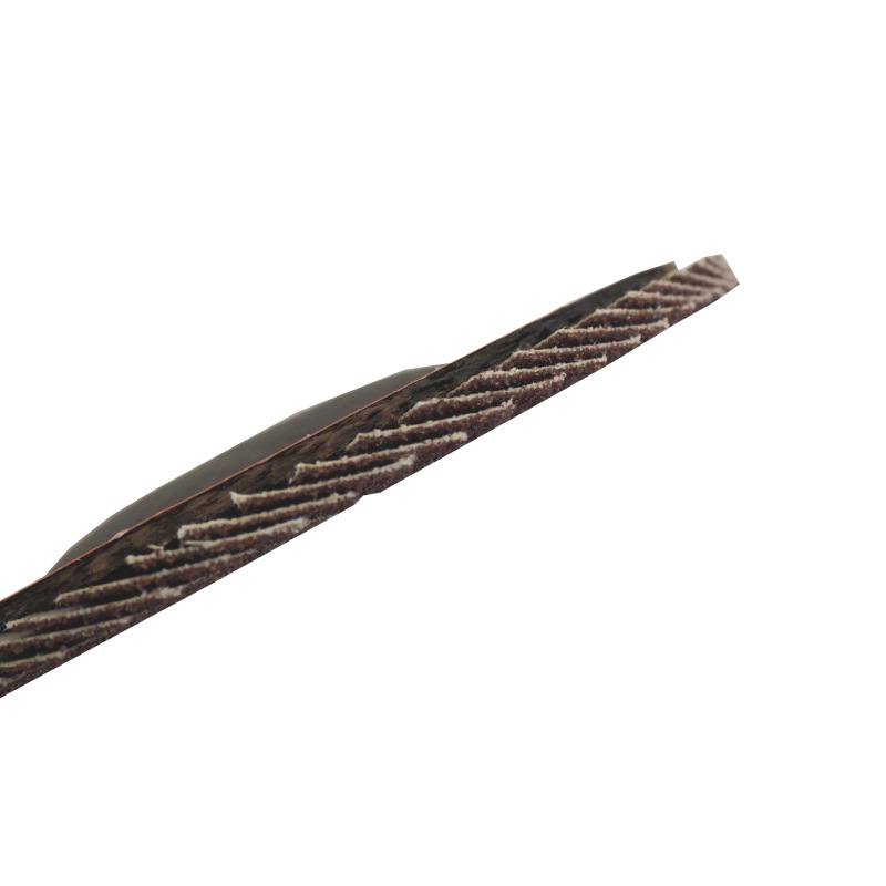 TOPTRADE kotúč brúsny, lamelový, zrnitosť 100, 125 x 22,2 x 2 mm 7