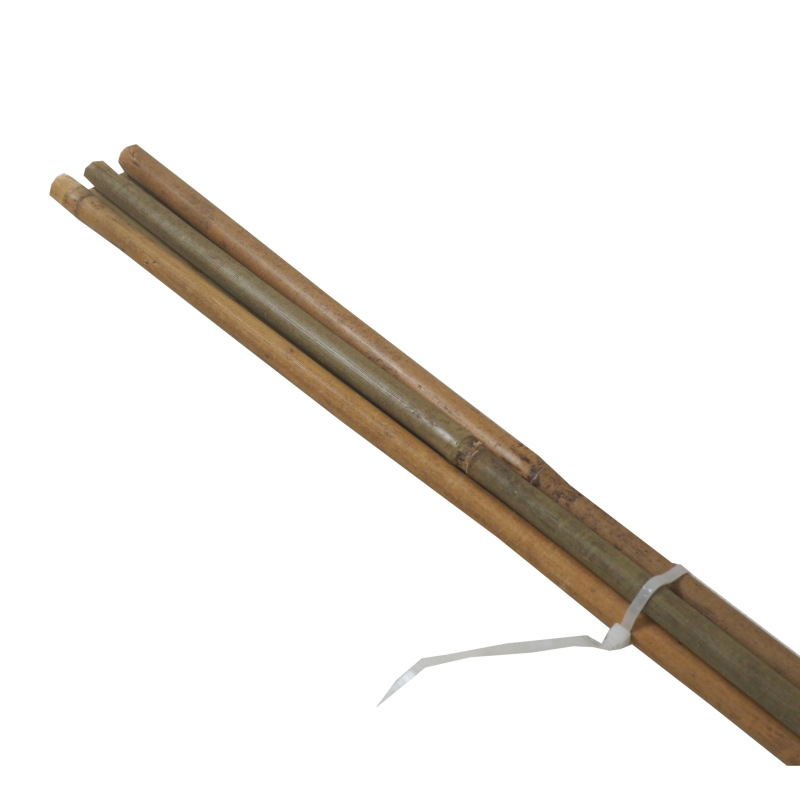 TOPTRADE tyč bambusová, O 12 - 14 mm x 120 cm, súprava 5 ks 2