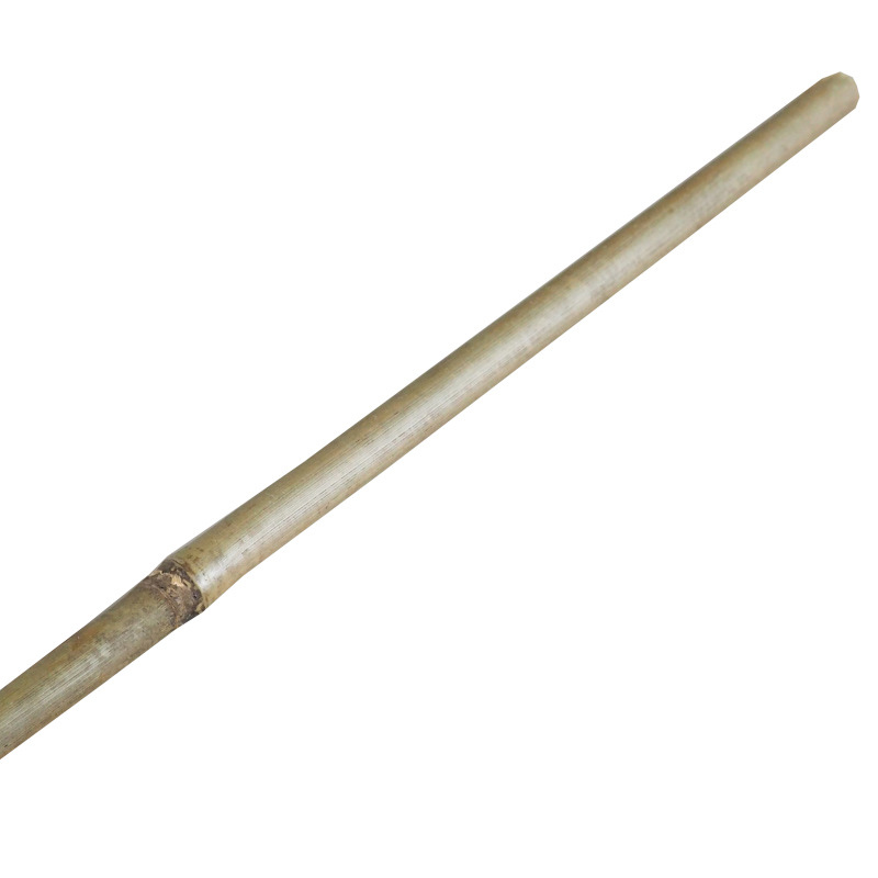 TOPTRADE tyč bambusová, O 12 - 14 mm x 120 cm, súprava 5 ks 6
