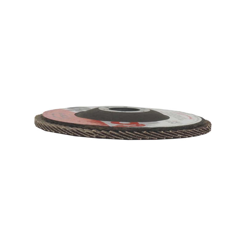 TOPTRADE kotúč brúsny, lamelový, zrnitosť 120, 125 x 22,2 x 2 mm 6