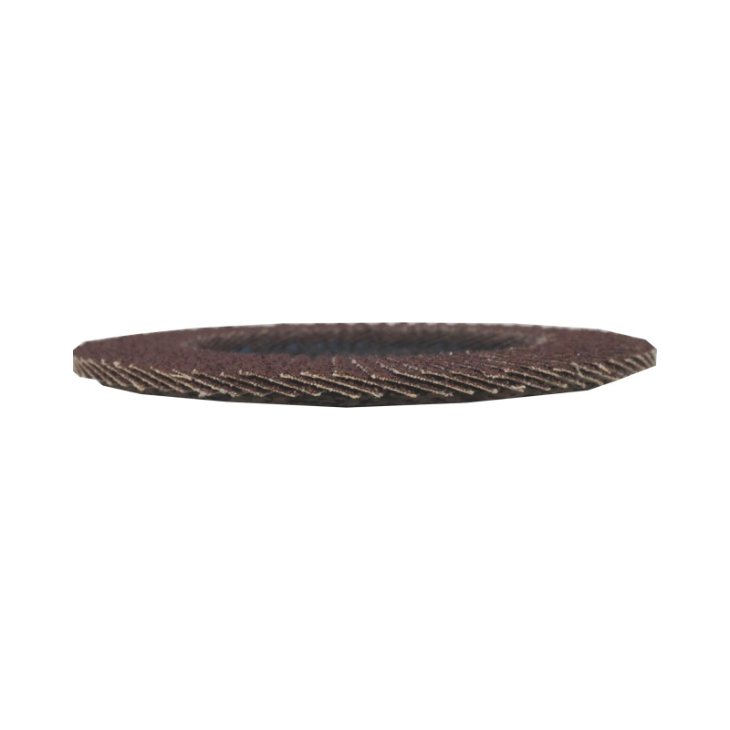 TOPTRADE kotúč brúsny, lamelový, zrnitosť 60, 125 x 22,2 x 2 mm 5