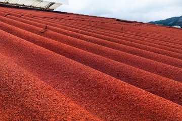 Korková izolácia THERMOCORK 3